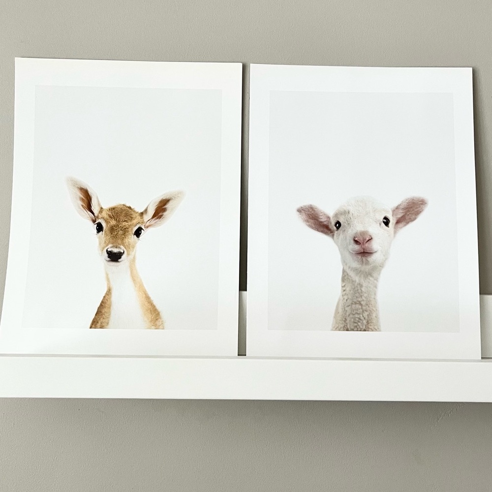 The Animal Print Shop Baby Animal Print Bundle